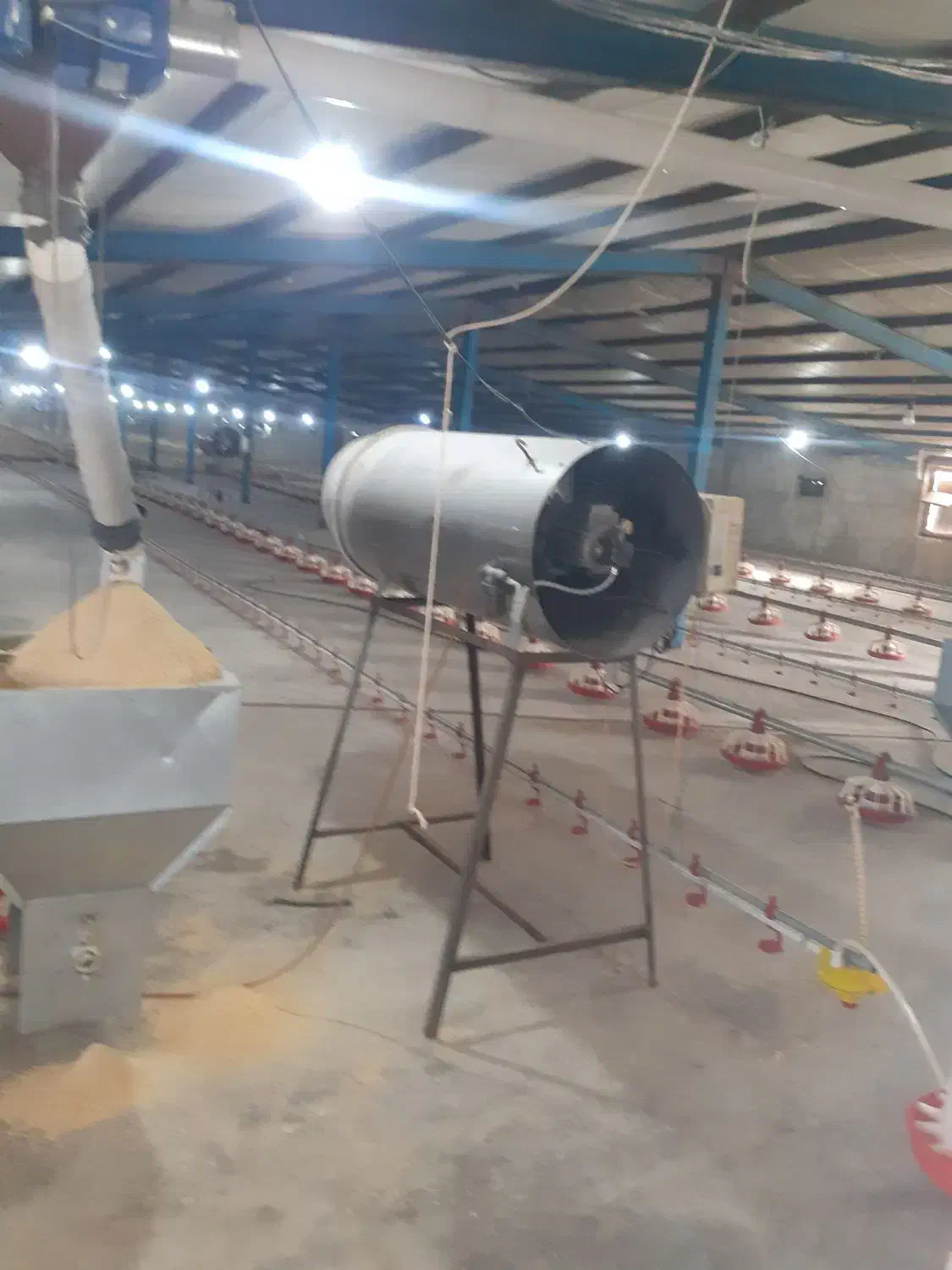 اجاره مرغداری ۱۸ هزار و پانصد قطعه ای|اجارهٔ دفتر صنعتی، کشاورزی، تجاری|سبزوار, رباط|دیوار