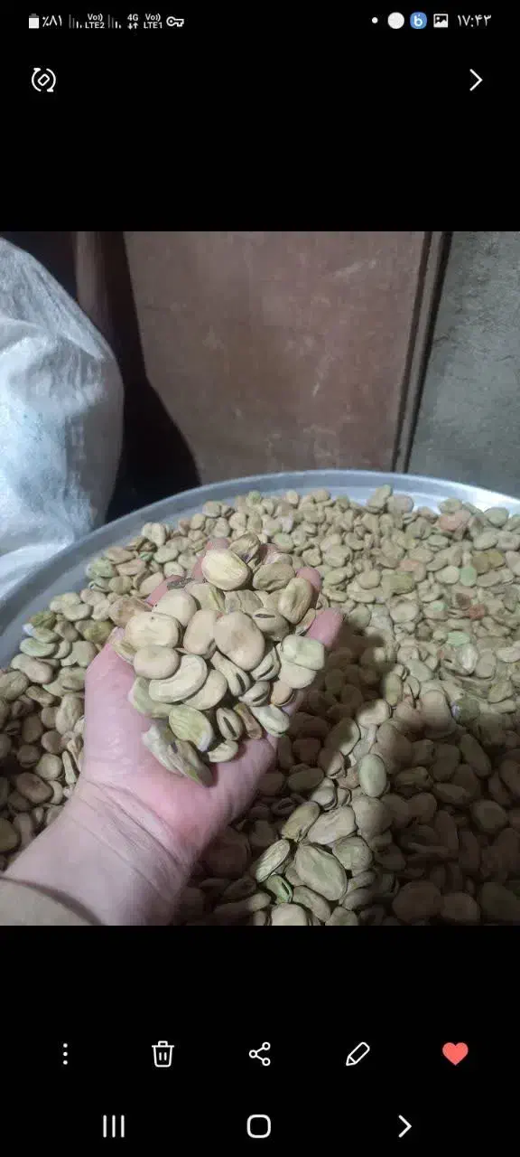 باقله خشک مازندرانی|خوردنی و آشامیدنی|کوهیخیل, |دیوار