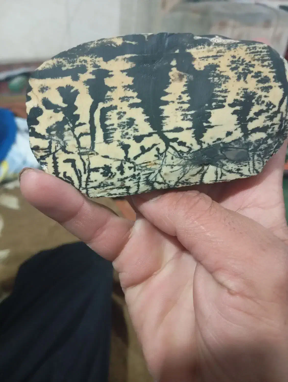 سنگ|کلکسیون اشیاء عتیقه|شیراز, شاهجیان|دیوار