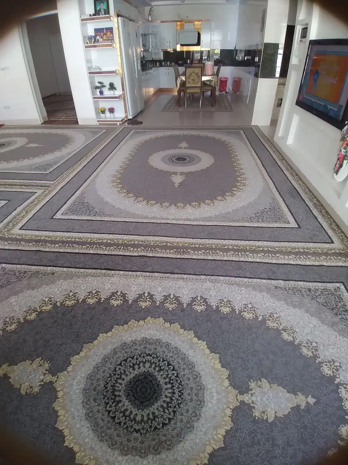 قالی فروشی مرودشت|فرش|مرودشت, ابوذر جنوبی|دیوار