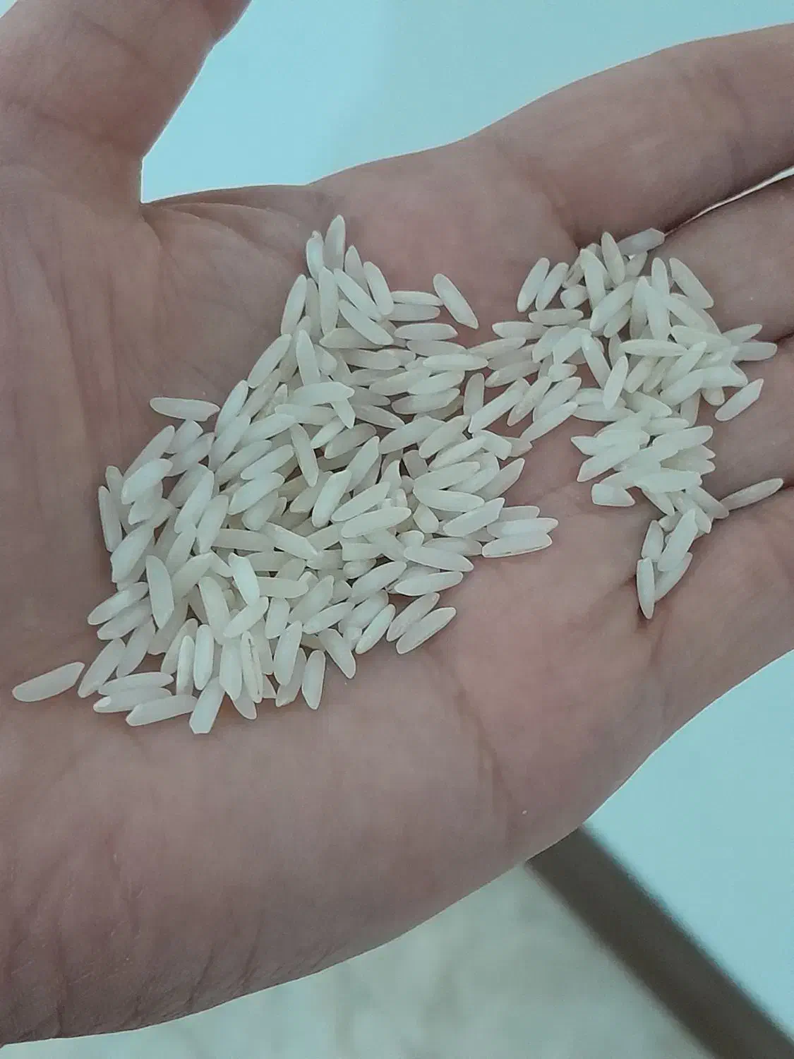 برنج طارم هاشمی معطر ومرغوب|حراج|ساری, |دیوار