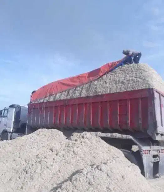 کاه نیشکر تازه|لوازم جانبی حیوانات|زهک, |دیوار