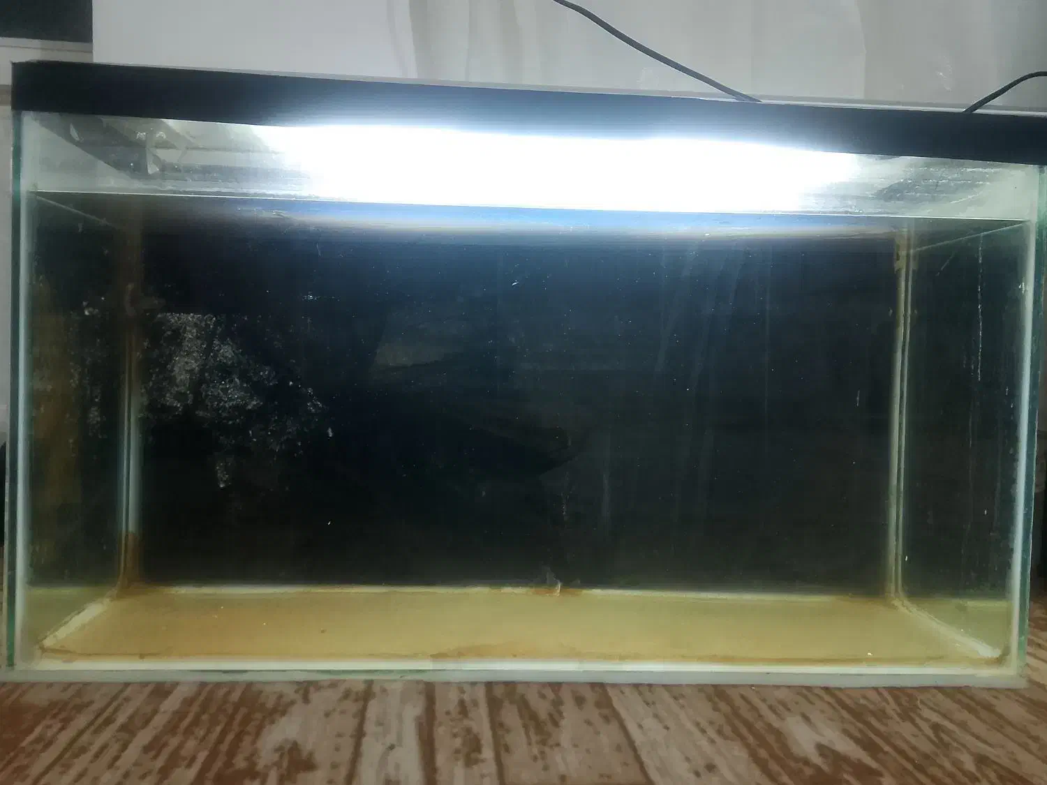 اکواریوم هشتاد سانت|ماهی|خوی, |دیوار