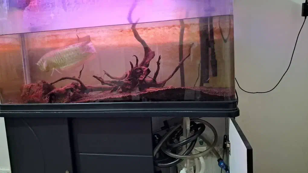 اکواریوم شرکتی درجه ۱ بدون میز|ماهی|اهواز, کوی فرهنگیان ۲|دیوار