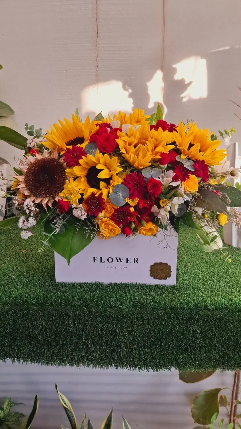 گل پیچک|گل و گیاه طبیعی|نجف‌آباد, جلال آباد|دیوار