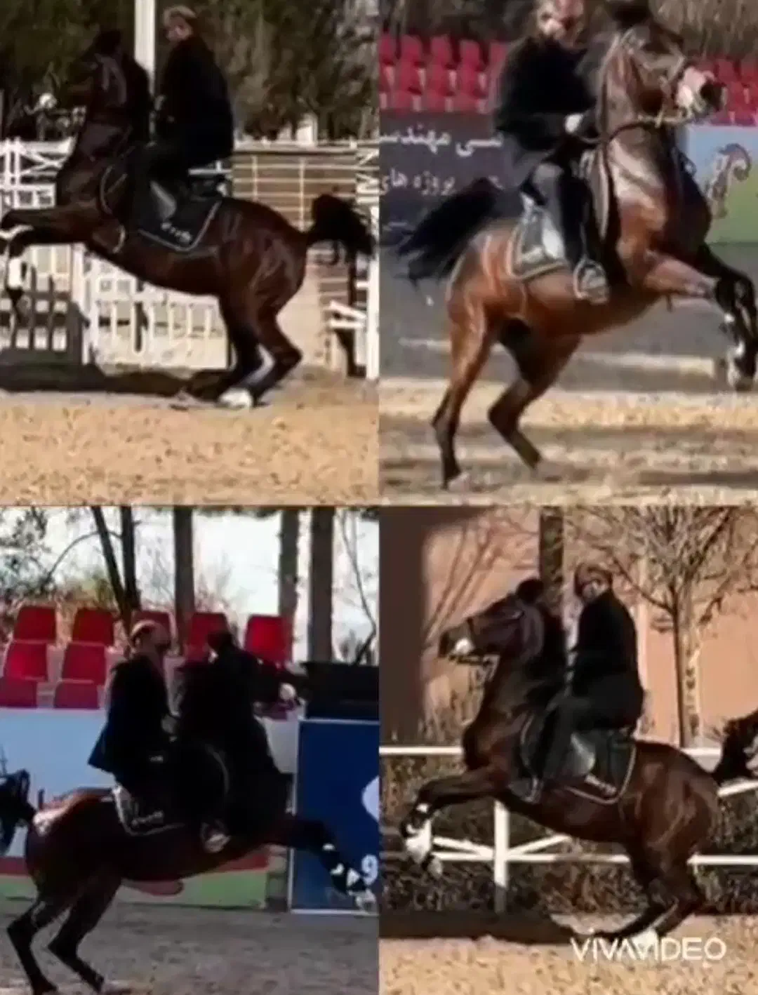 فروش اسب|اسب و تجهیزات اسب‌سواری|اصفهان, شهرک صنعتی جی|دیوار