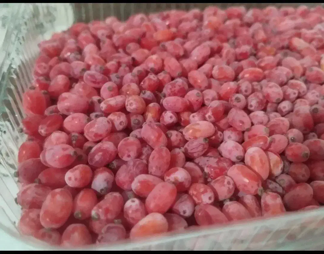 زرشک تازه دانه شده با دست بدون دم و برگ کیلو ۲۲۰|خوردنی و آشامیدنی|تهران, ترمینال جنوب|دیوار