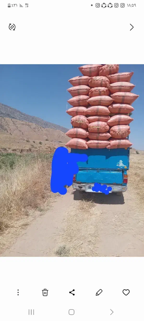 کاه|لوازم جانبی حیوانات|ایلام, |دیوار