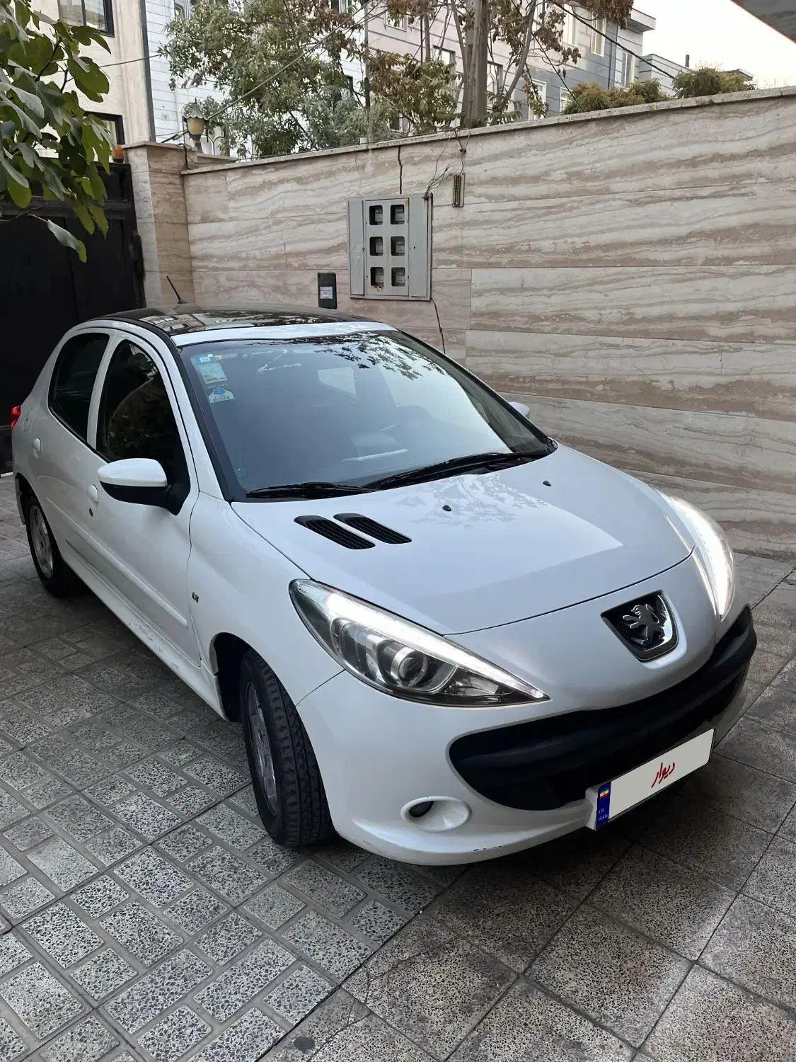 ۲۰۷ پانا دنده ای|خودرو سواری و وانت|تهران, شهرک دانشگاه|دیوار