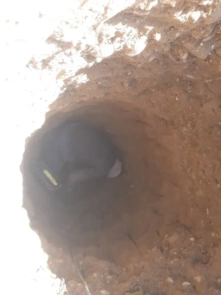 نیازمند حفار چاه یا مقنی|استخدام صنعتی، فنی، مهندسی|فسا, |دیوار