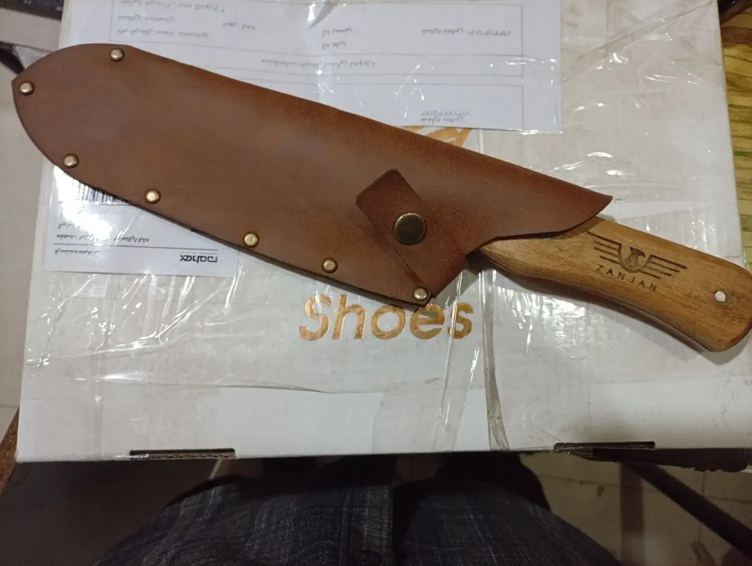 کبوتر|کلکسیون و سرگرمی|ایذه, |دیوار