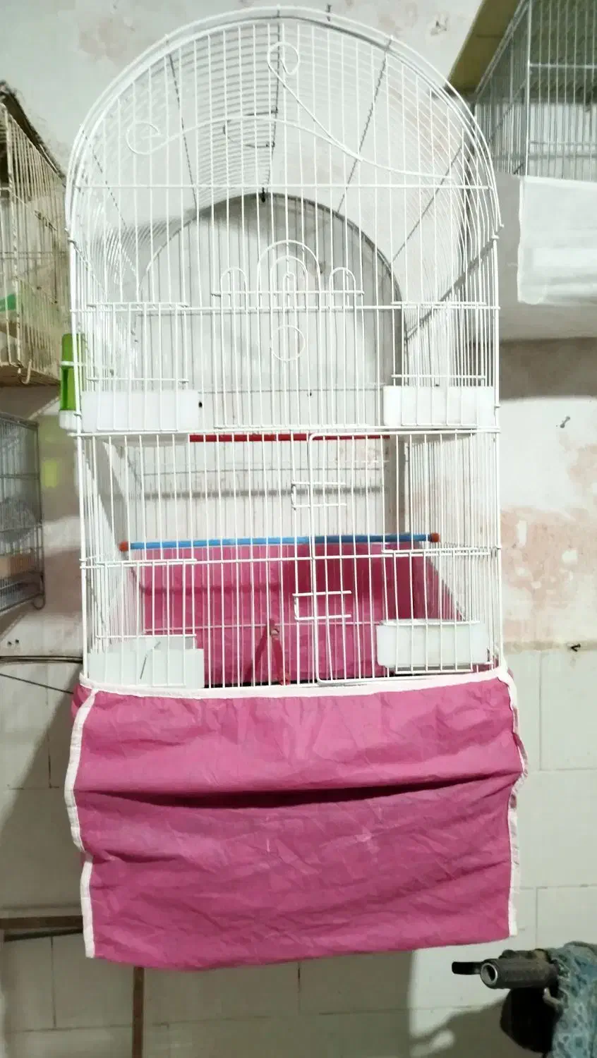 ابزار و قناری عروس پرنده سهره و دریل اهوازی|حراج|نظرآباد, نظرآباد|دیوار