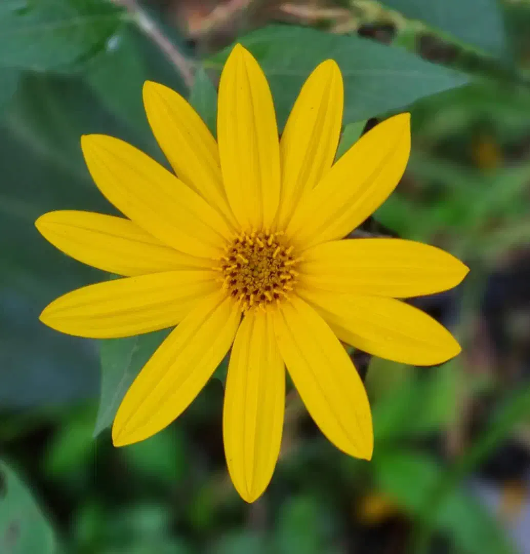 باسلام زمین فروشی|فروش زمین و ملک کلنگی|زیرکوه, |دیوار