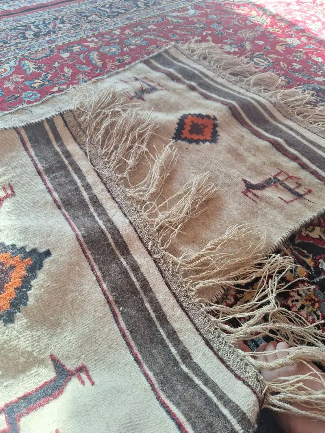 گلیم دست باف|گلیم، جاجیم، گبه|شیراز, کوشک میدان|دیوار