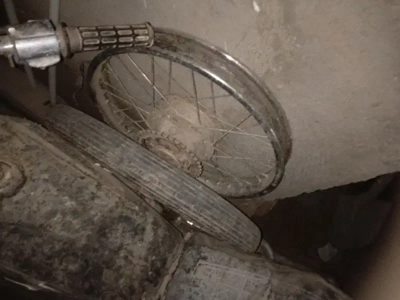 موتور معامله گوسفند|موتورسیکلت|بم, |دیوار