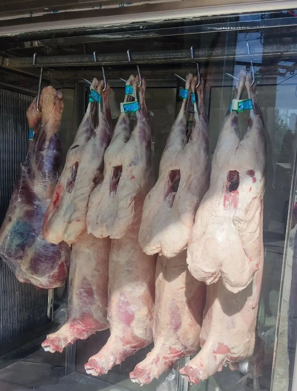 گوشت نرنده کالا برگ|خوردنی و آشامیدنی|کرمان, |دیوار