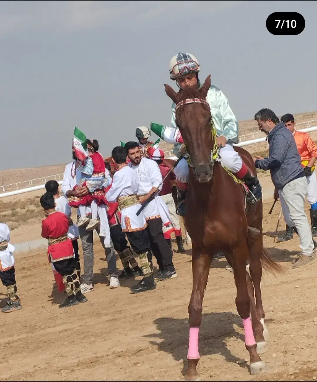 اسب ترکمن نریون|اسب و تجهیزات اسبسواری|جوین, |دیوار