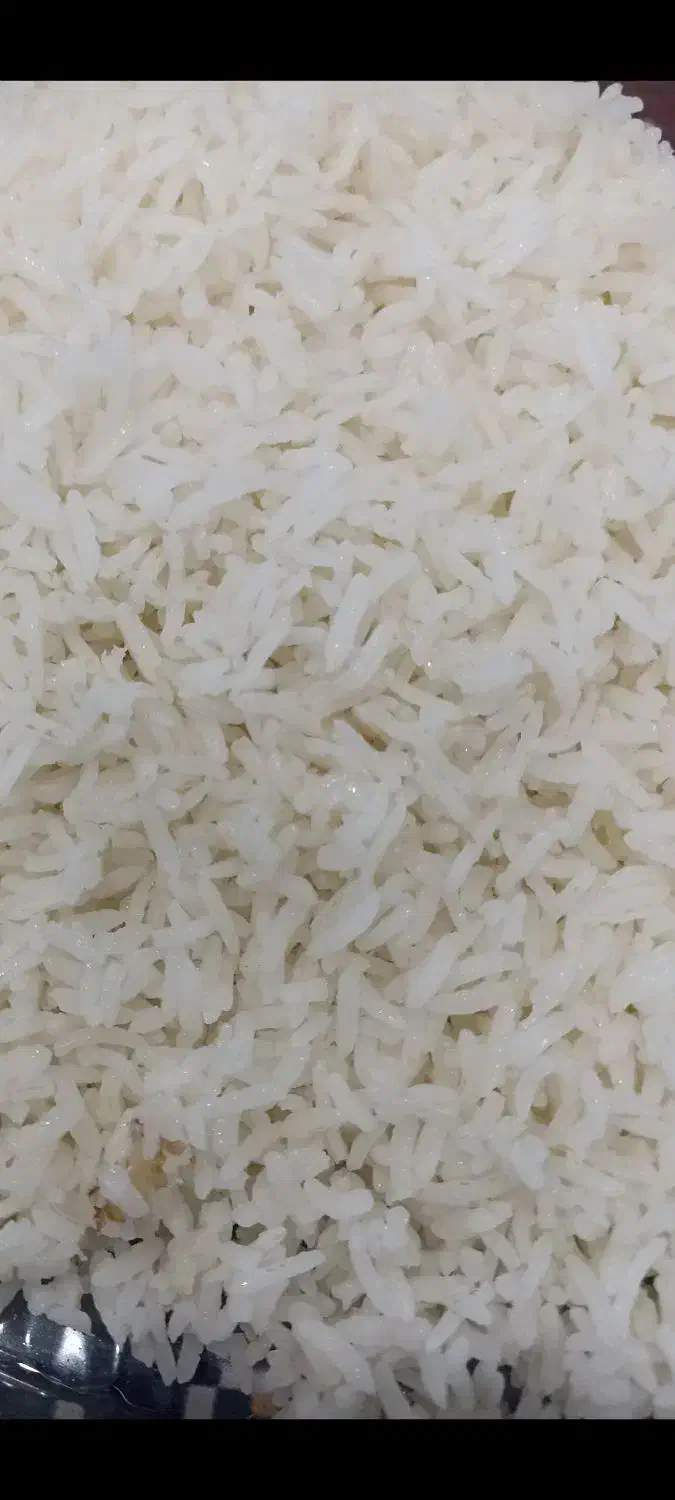 برنج کامفیروزی با تضمین پخت|خوردنی و آشامیدنی|صدرا-فارس, فاز ۱|دیوار