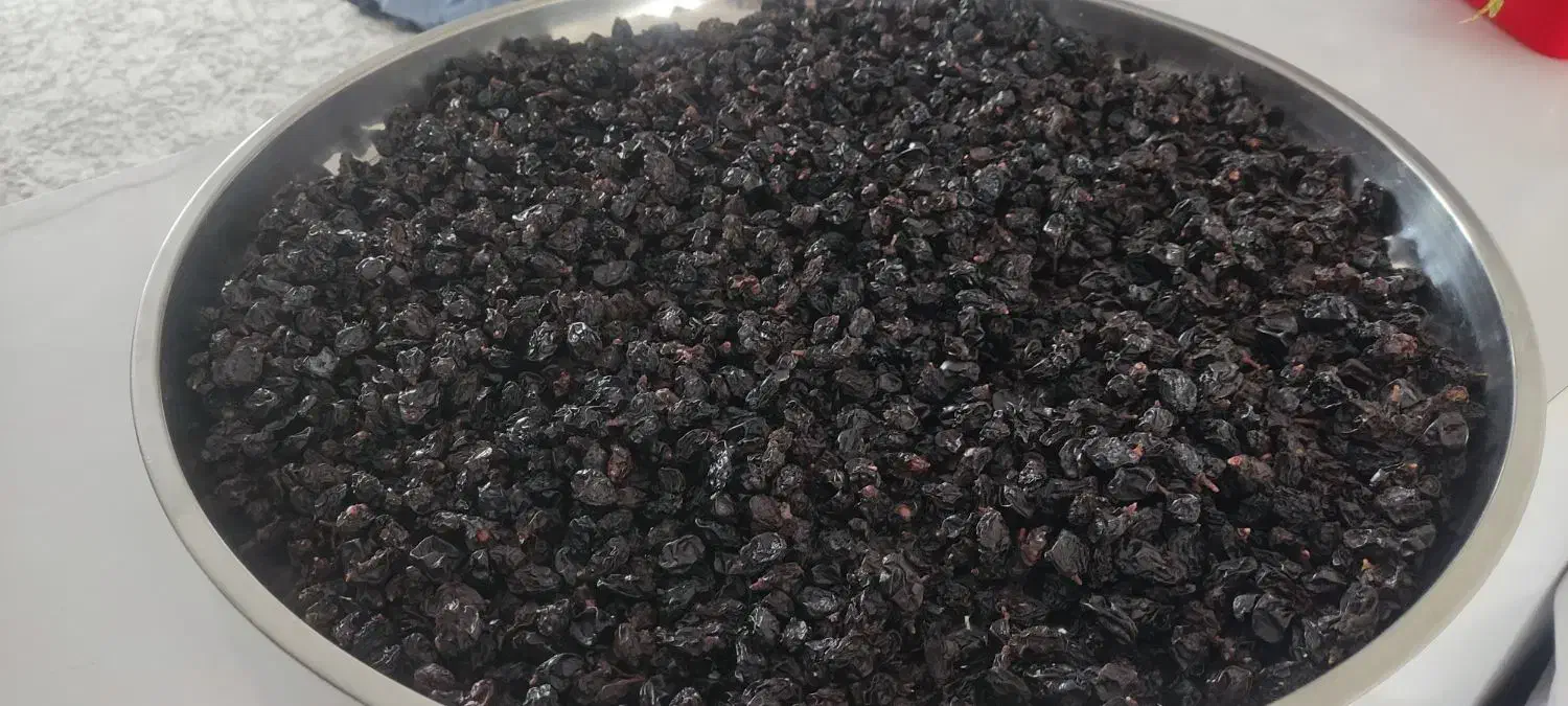 مویز|خوردنی و آشامیدنی|ربط, |دیوار