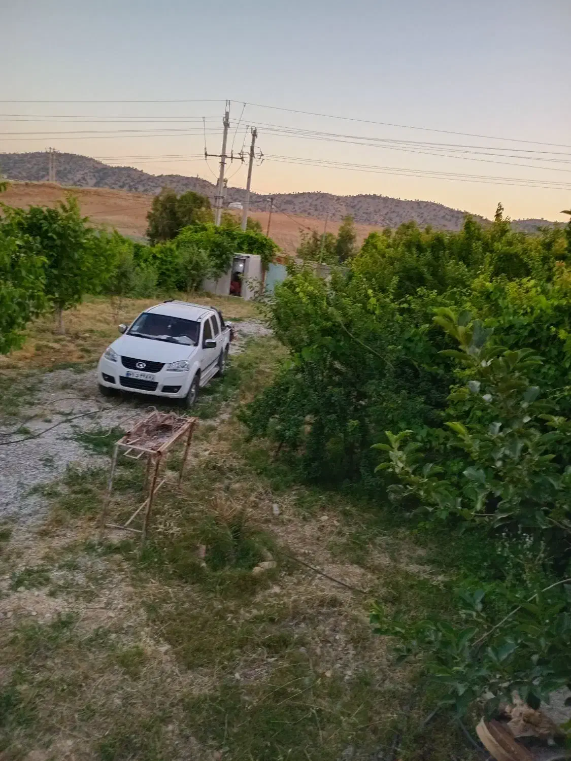فروش خانه باغ.درچمکبود براصلی جاده ایلام دره شهر|فروش خانه و ویلا|ایلام, |دیوار
