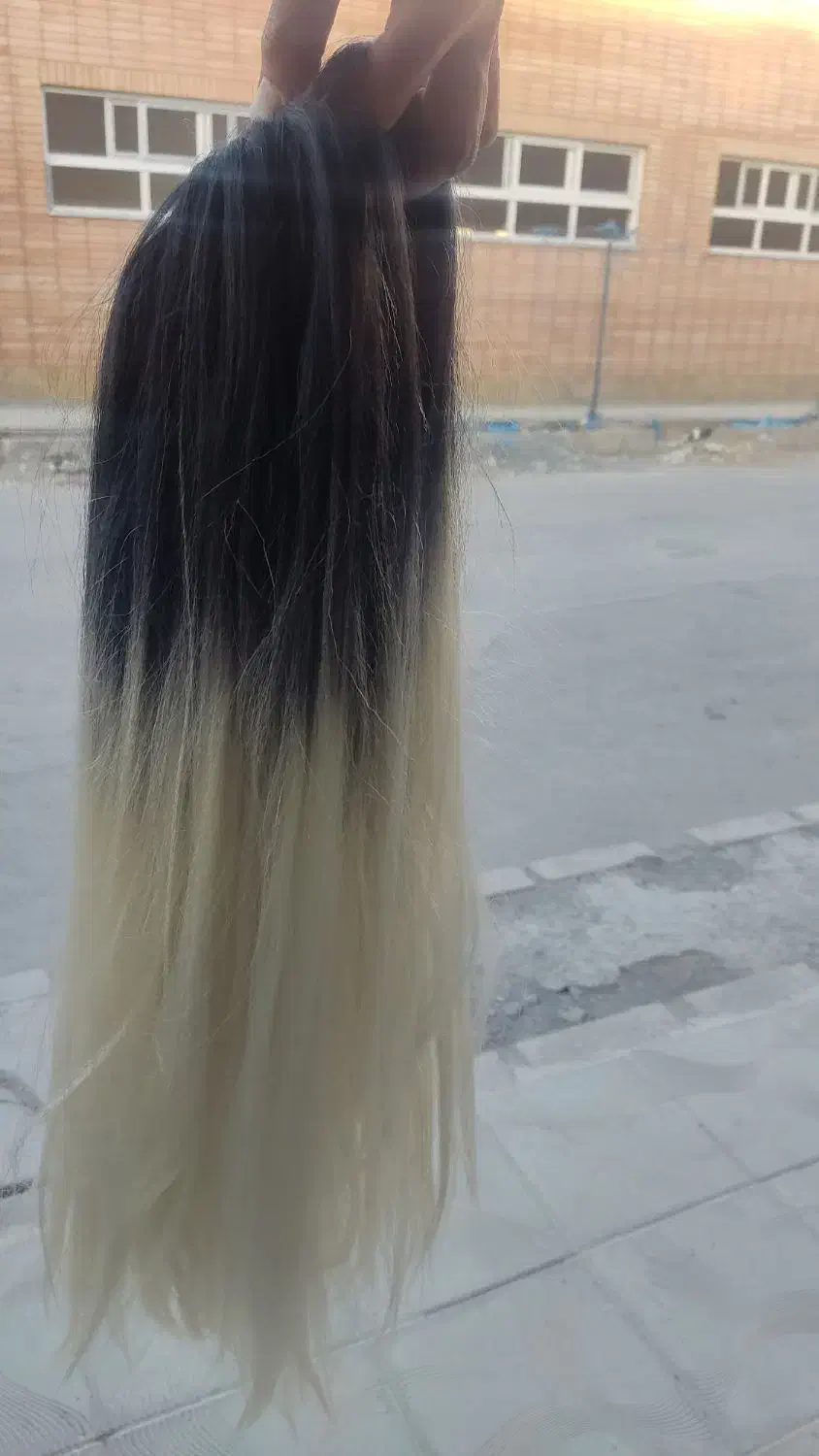 کلاه گیس|آرایشی، بهداشتی، درمانی|فولادشهر, مسکن مهر فولادشهر|دیوار