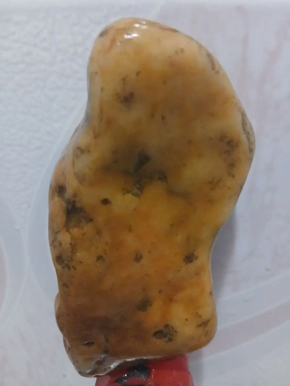 زیبایی طبیعت|جواهرات|رشت, آزادگان|دیوار