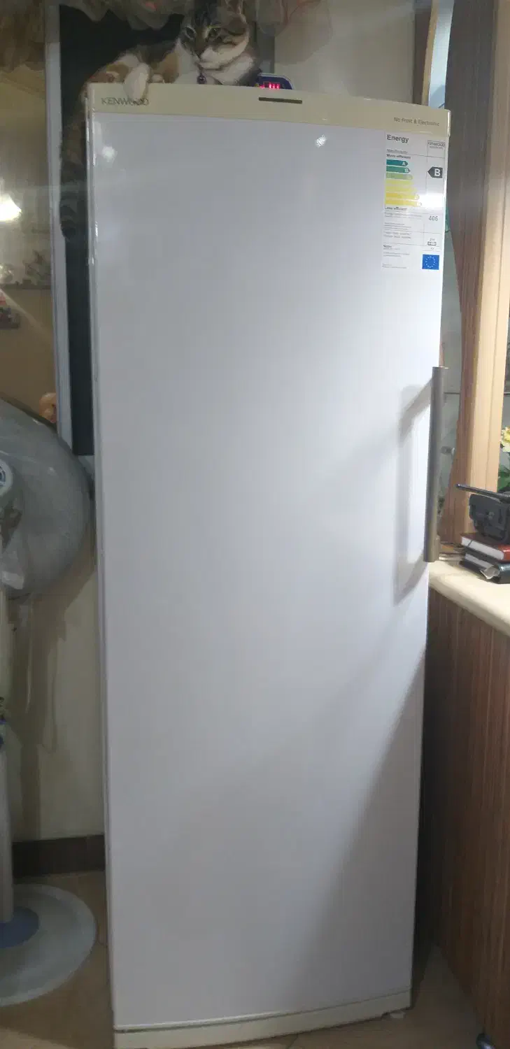 فروش فریزر کنود|یخچال و فریزر|رشت, جهاد|دیوار