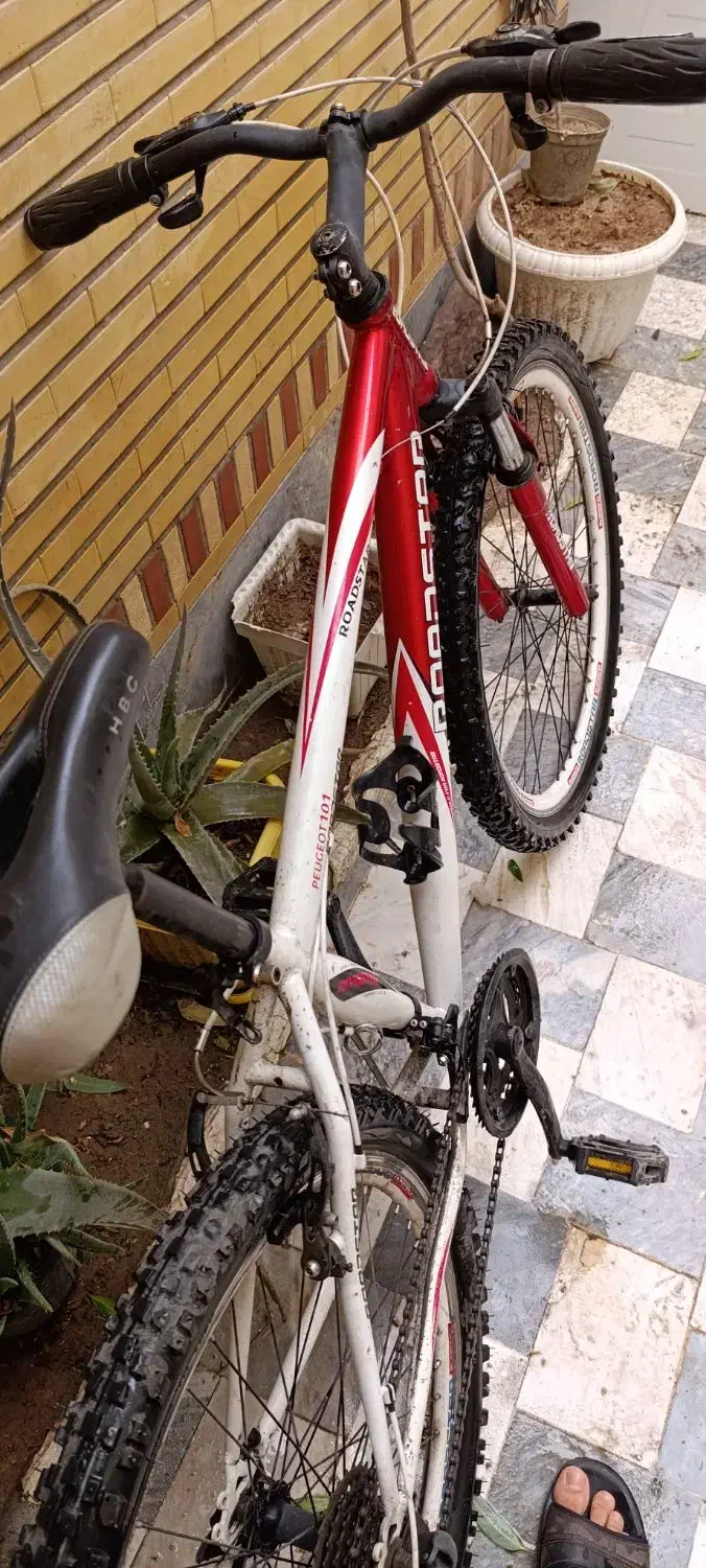 دو چرخه 26|دوچرخه، اسکیت، اسکوتر|قم, شهر قائم|دیوار