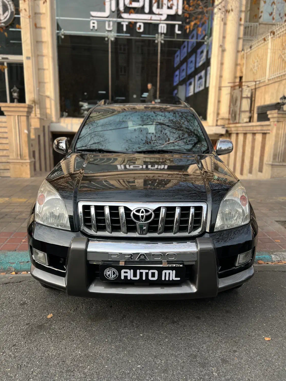 پرادو|خودرو سواری و وانت|تهران, درختی|دیوار