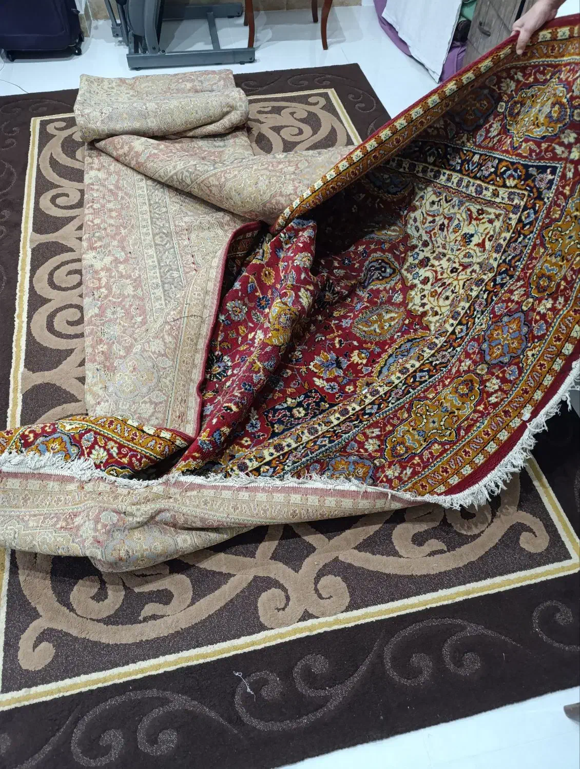 فرش12متری مناسب خونه باغ وکارگاهها|فرش|گنبد کاووس, |دیوار