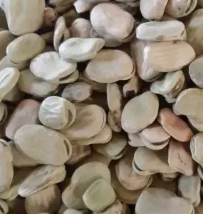 باقله|خوردنی و آشامیدنی|خرم‌آباد, |دیوار