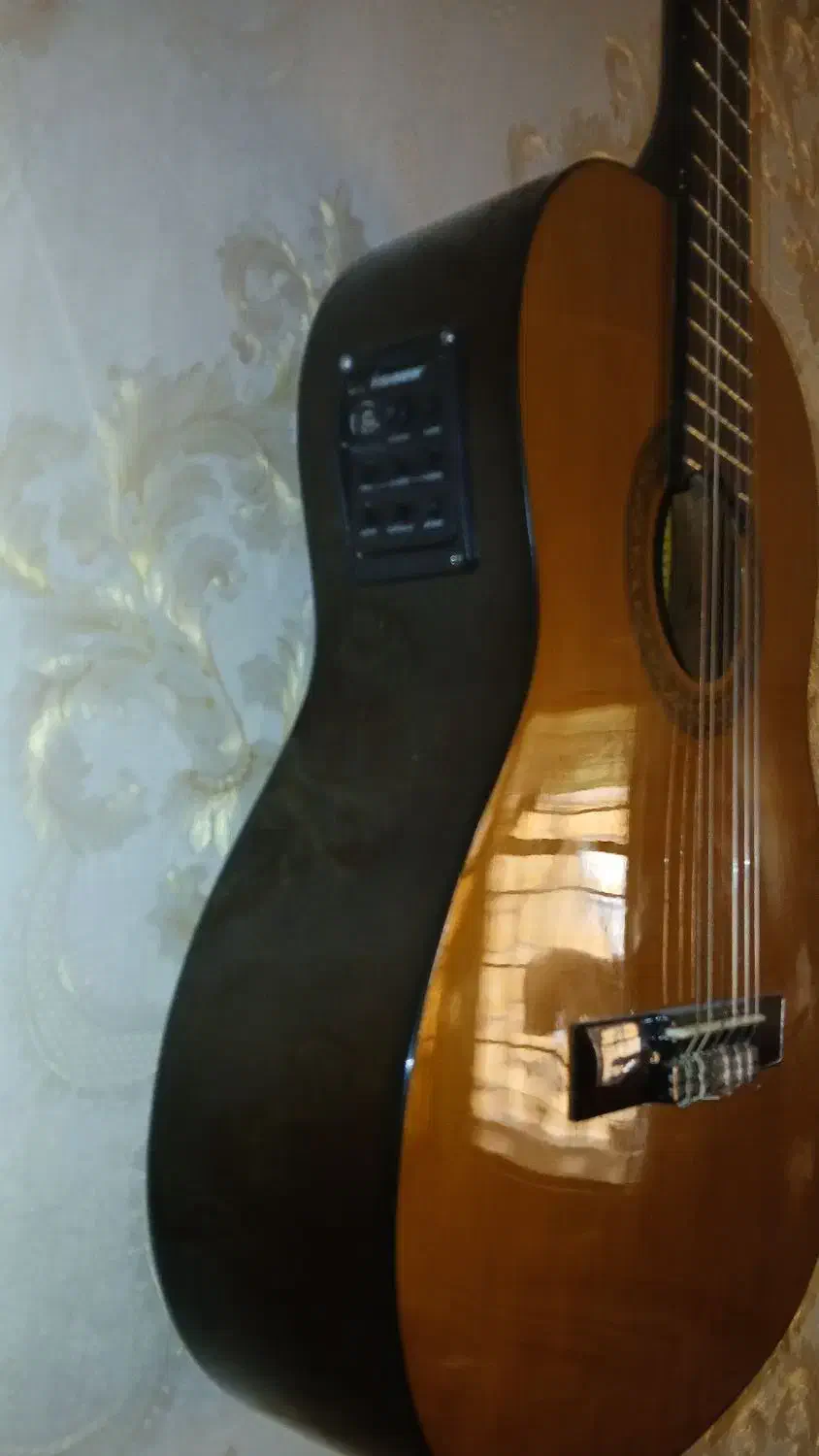 گیتار هافنر آلمان|گیتار، بیس، امپلیفایر|چناران, |دیوار