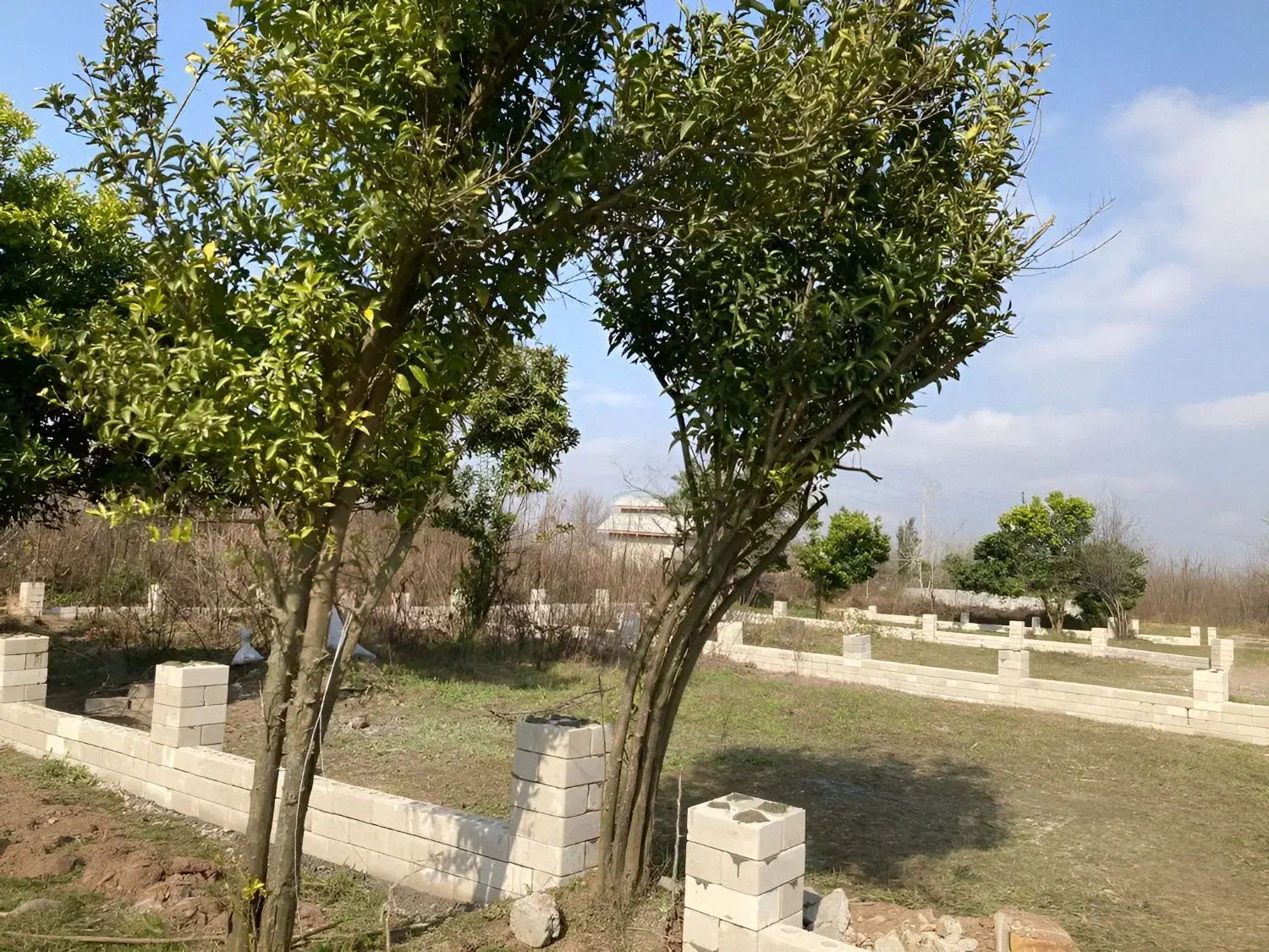 زمین 260 متری نزدیک دریا با اقساط 12 ماهه|فروش زمین و ملک کلنگی|رشت, گلسار|دیوار