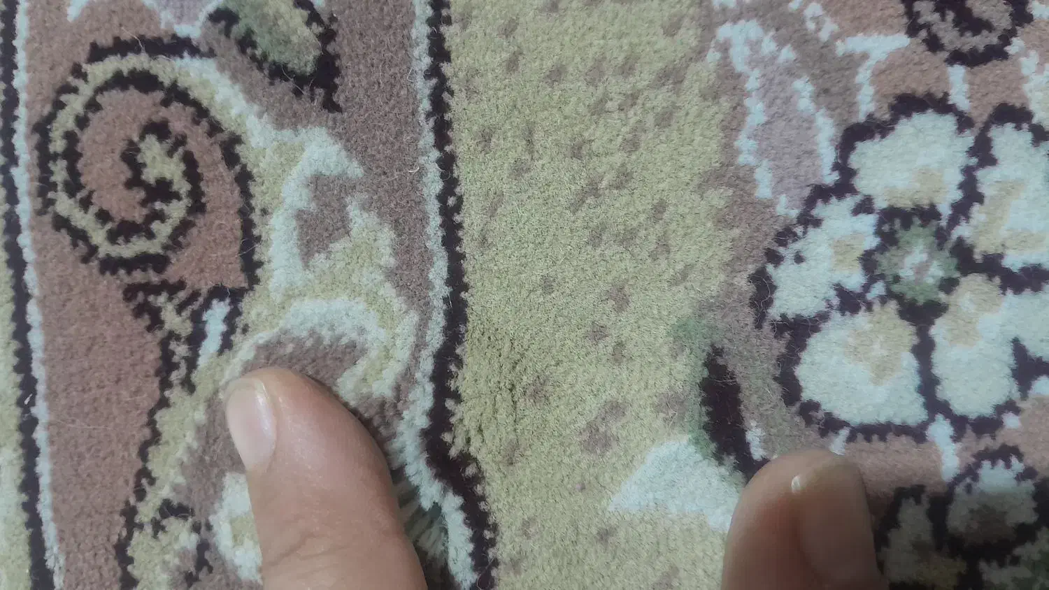 فرش تمام نخ دوتا ۶متری|فرش|کرمانشاه, |دیوار