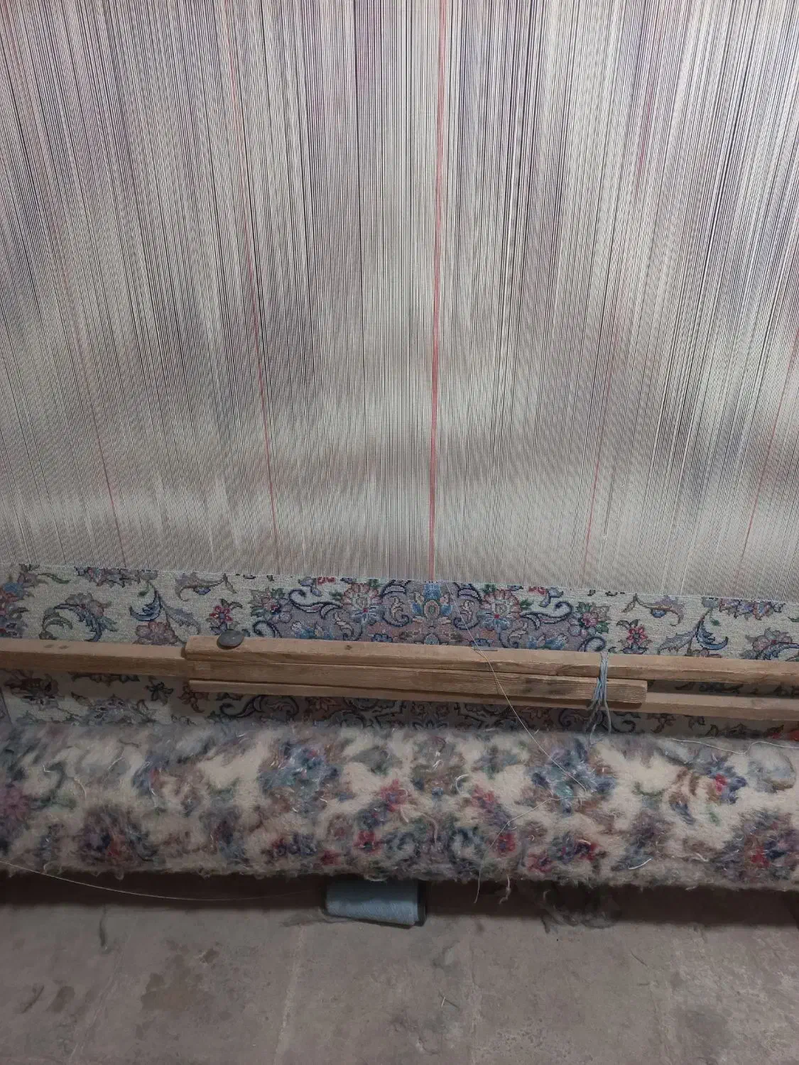 قالی دستبافت نیمه کاره|فرش|یزد, |دیوار