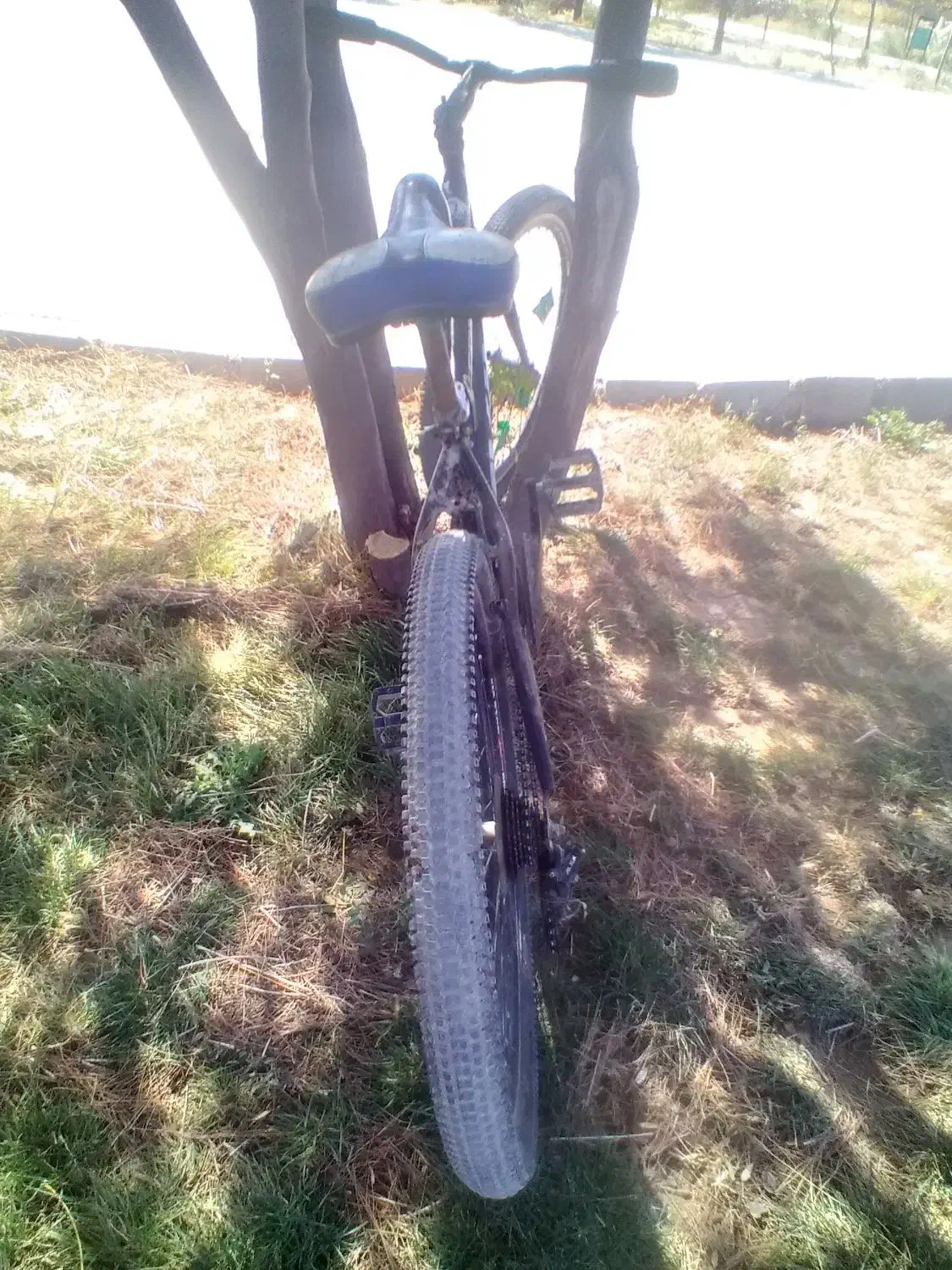 دوچرخه دنده ای ویوا|دوچرخه، اسکیت، اسکوتر|بجنورد, |دیوار