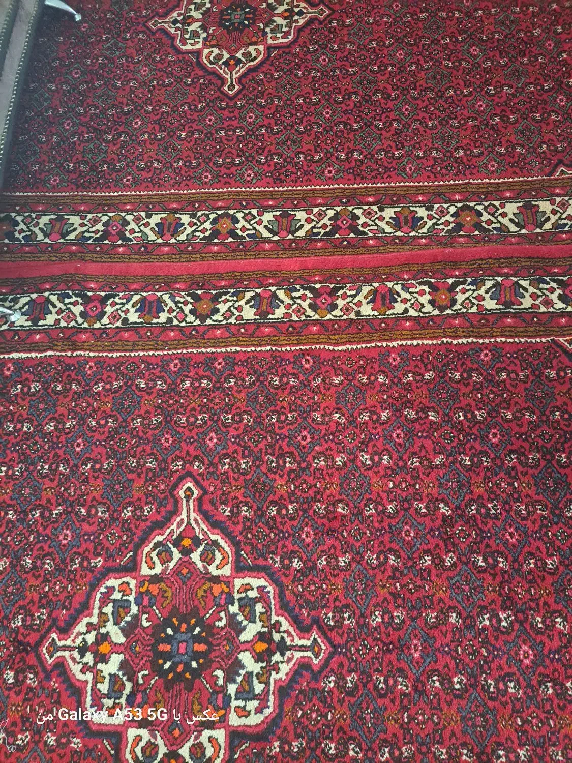 دوعدد فرش دستبافت|فرش|همدان, |دیوار