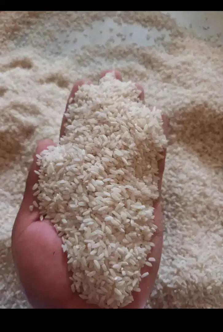 برنج محلی تولکی درجه یک|خوردنی و آشامیدنی|شاهین‌شهر, فردوسی|دیوار