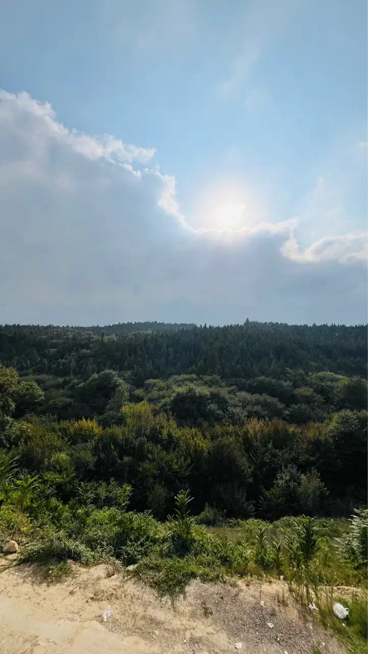 پیش فروش ویژه واحد های خاص،شرایط استثنایی «صیاد»|پیش‌فروش املاک|گرگان, |دیوار