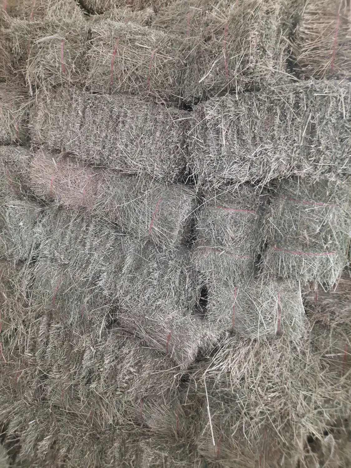 پرس یونجه چین ۲ و ۳|حیوانات مزرعه|زالیان, |دیوار