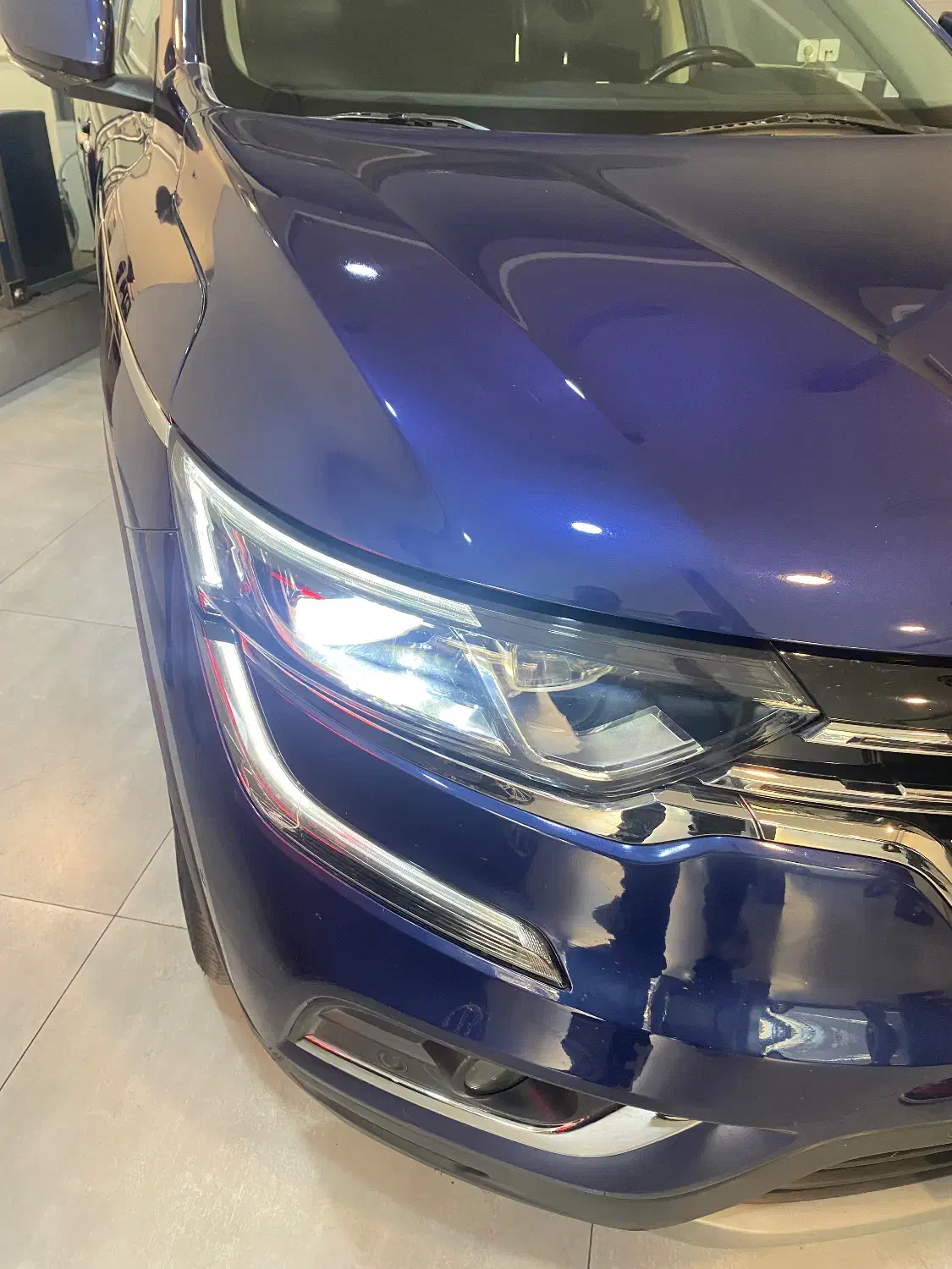 کولئوس درجه|خودرو سواری و وانت|تهران, عباس‌آباد|دیوار