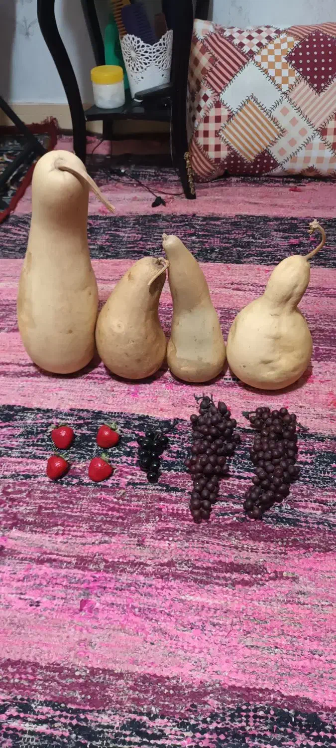 کدو خشک شده طبیعی و میوه مصنوعی|صنایع دستی و سایر لوازم تزئینی|ری, دیلمان|دیوار