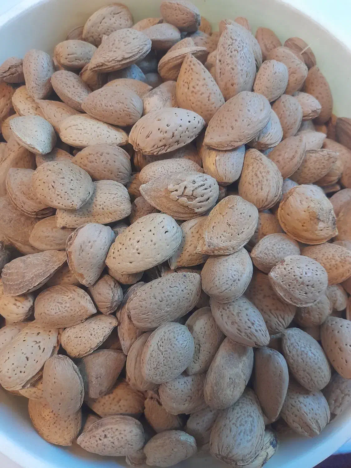 فروش بادام دیم پرمغز وکاملا اورگانیک|خوردنی و آشامیدنی|تهران, والفجر (افسریه)|دیوار