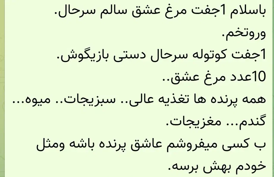 مرغ عشق. کوتوله|پرنده|مشهد, فدک|دیوار