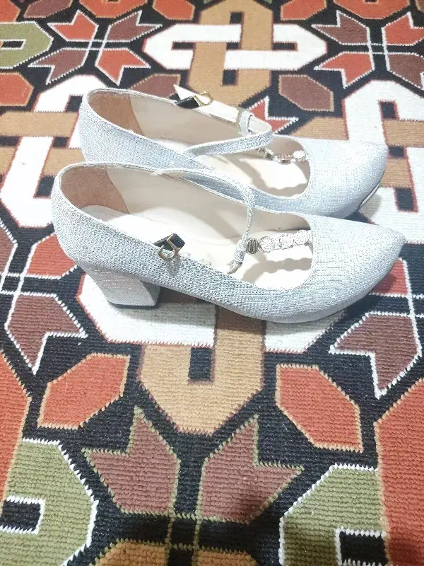 کفش مجلسی|کیف، کفش، کمربند|لنجان, |دیوار