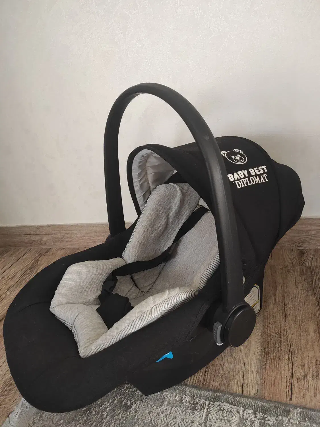 کریر دلیجان|کالسکه و لوازم جانبی|رشت, شهرک قدس|دیوار