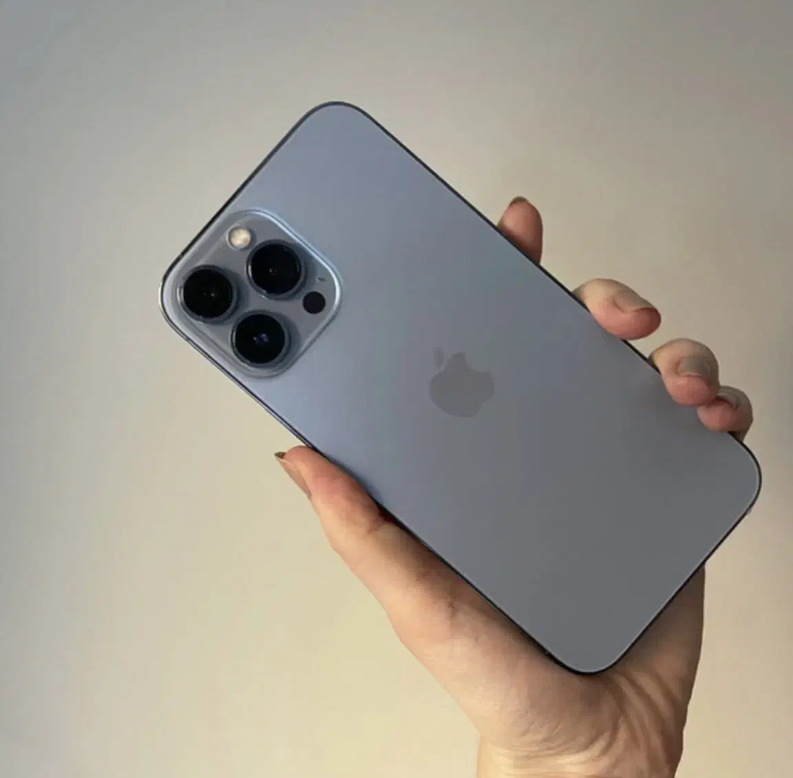 آیفون 13promax-حافظه 512|موبایل|شیراز, خلدبرین|دیوار