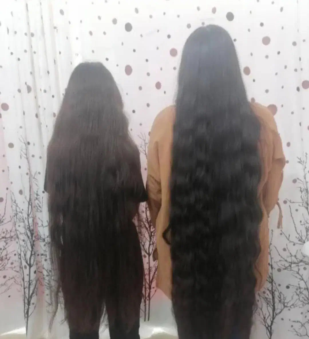 خریدار اصلی و بدون واسطه موهای طبیعی بانوان|خدمات آرایشگری و زیبایی|دهدشت, |دیوار