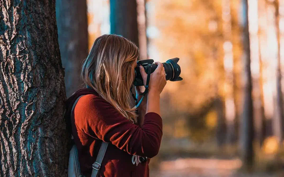عکاسی و فیلم برداری(مدلینگ، تبلیغاتی وتیزر)|خدمات پذیرایی، مراسم|رشت, معلم|دیوار