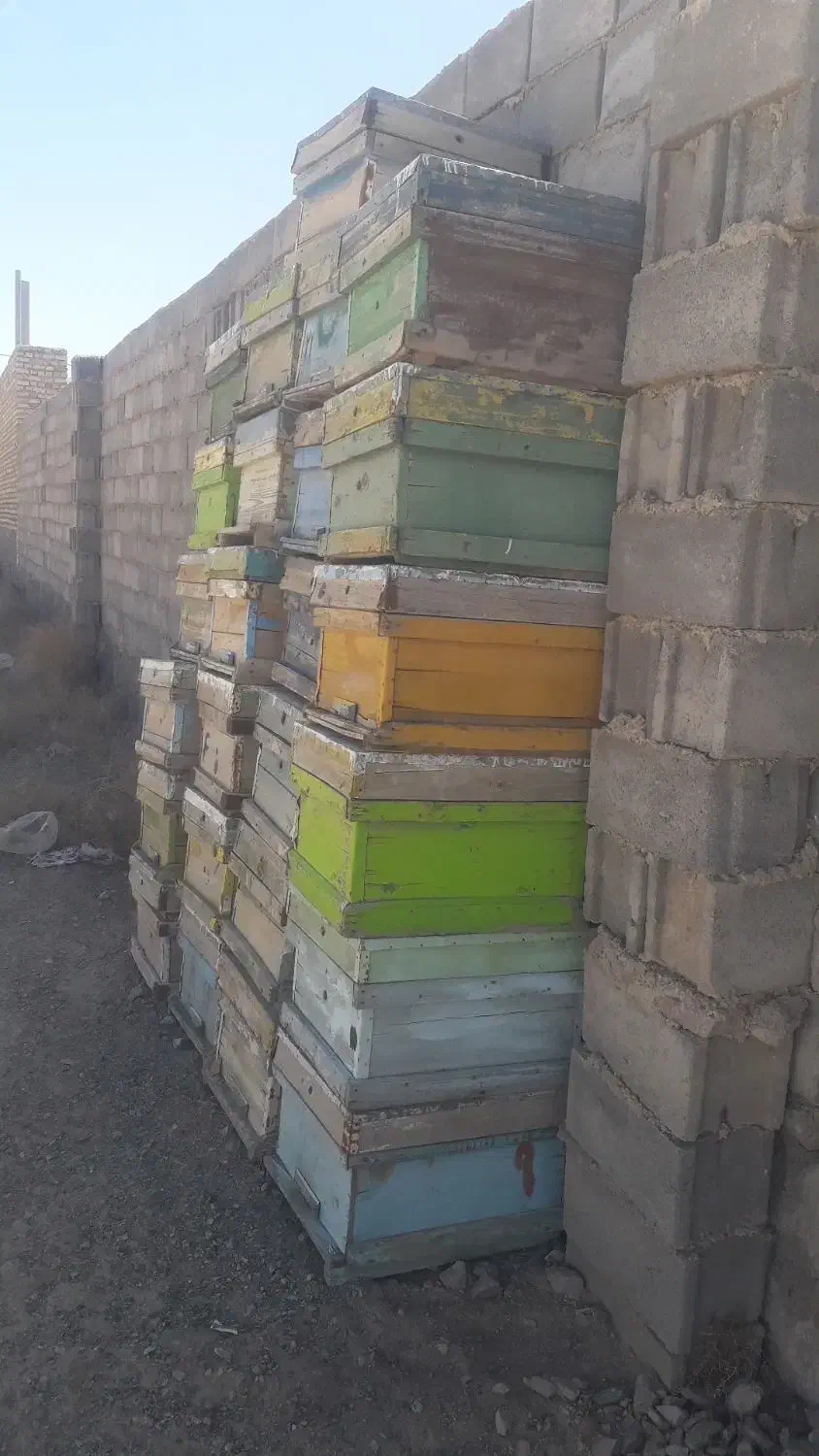 کندو|لوازم جانبی حیوانات|بیرجند, |دیوار